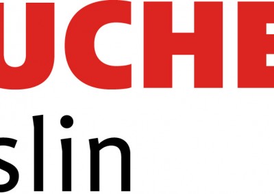Logo_BucherVaslin