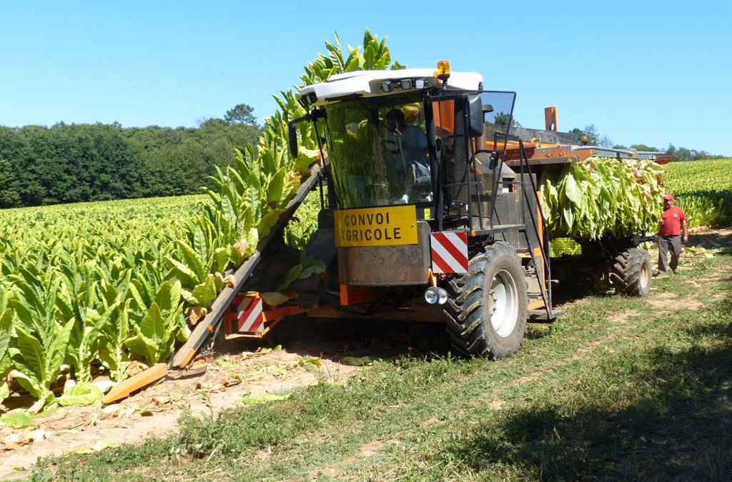 M20 – Machine de récolte Tabac Burley sur cadres – automotrice tabac burley